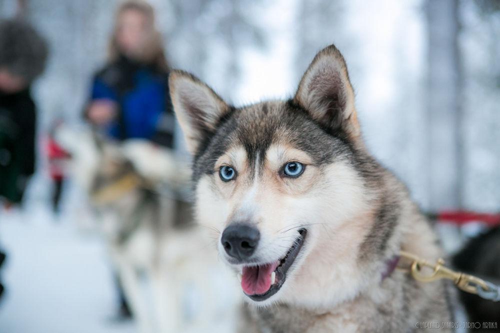 Lapland Hotels Snowvillage อุลลาสยาร์วิ ภายนอก รูปภาพ