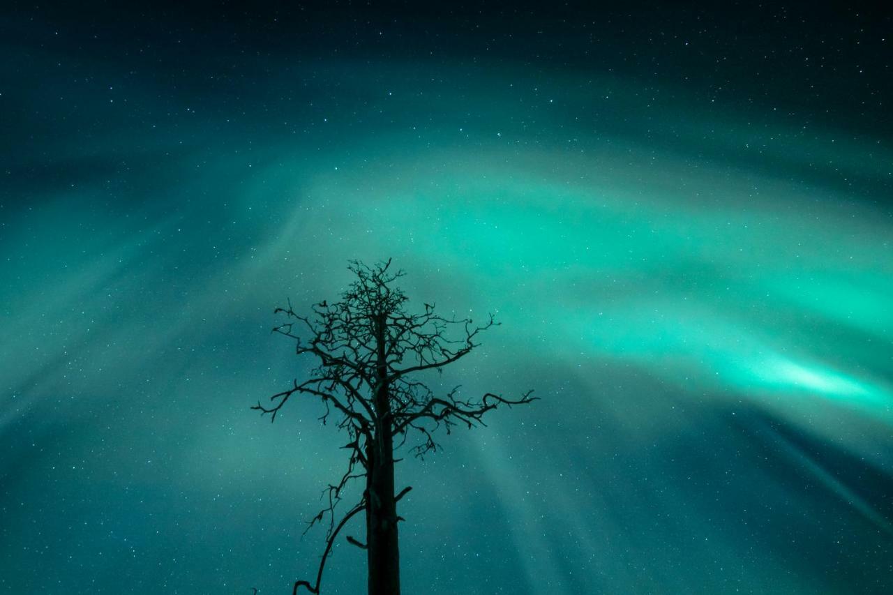 Lapland Hotels Snowvillage อุลลาสยาร์วิ ภายนอก รูปภาพ